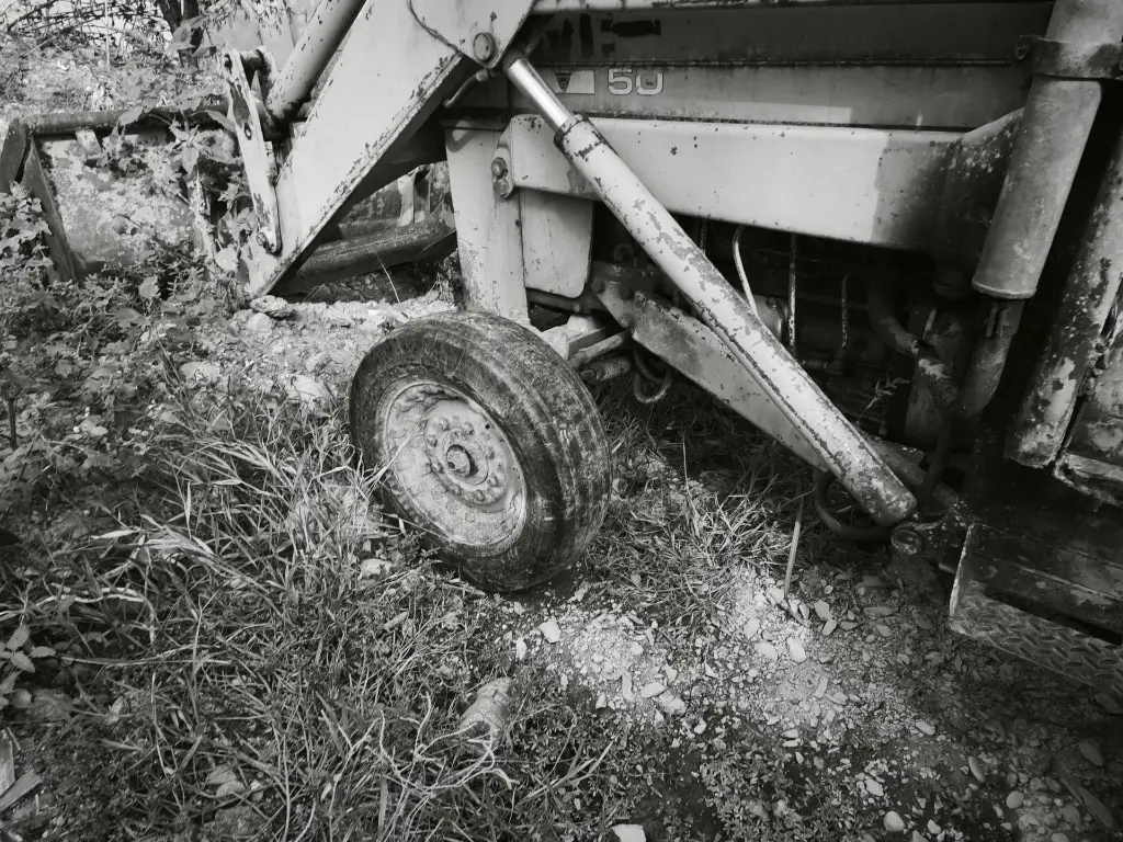 MIXTA ANTIGUA (1).webp